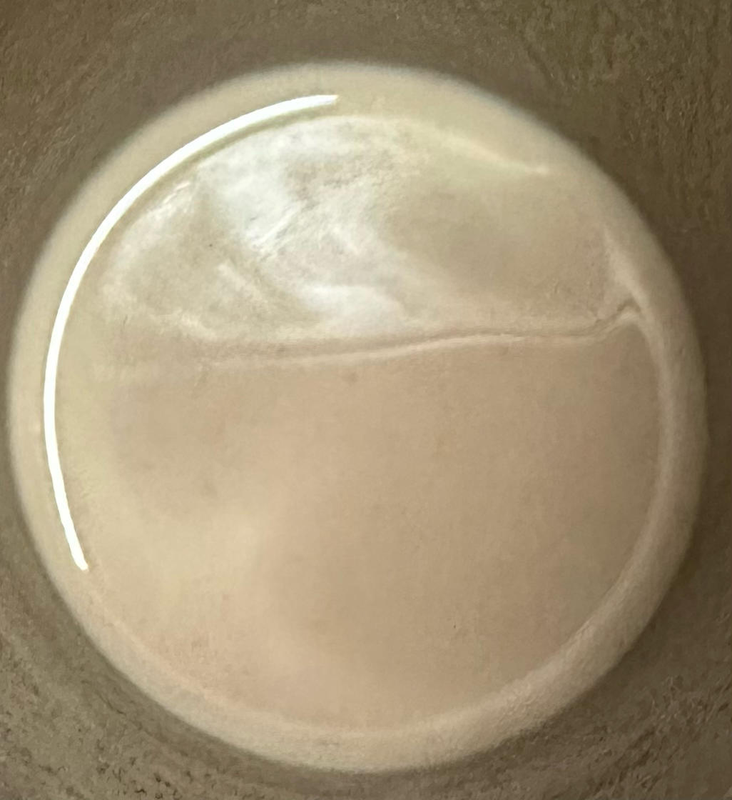【板栗】豆浆