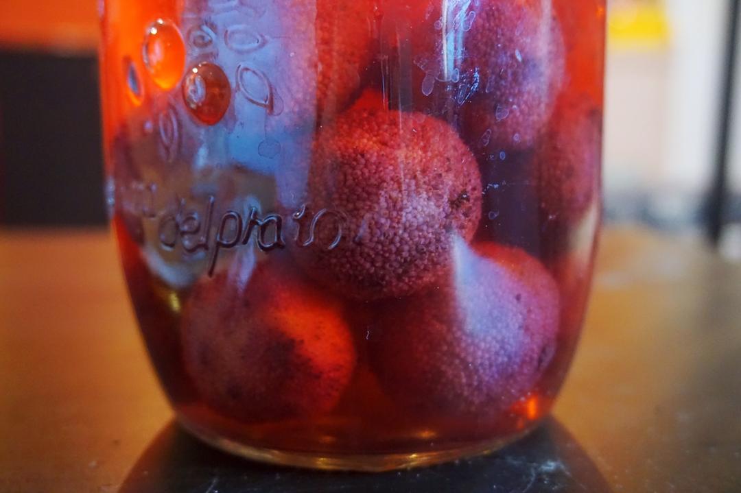 小叶子穿花裤的日常