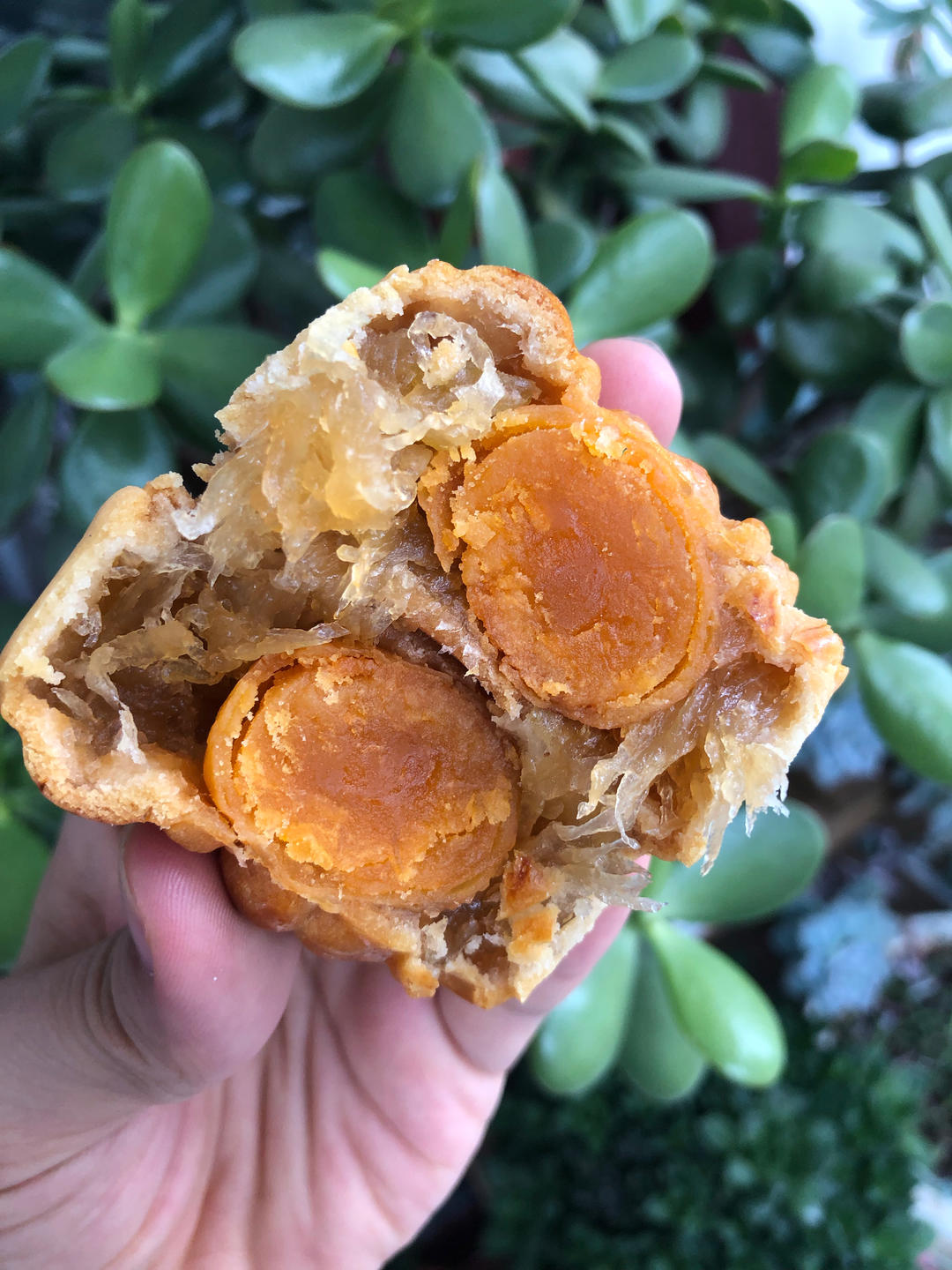 教你做表皮干爽的冬翅月饼皮