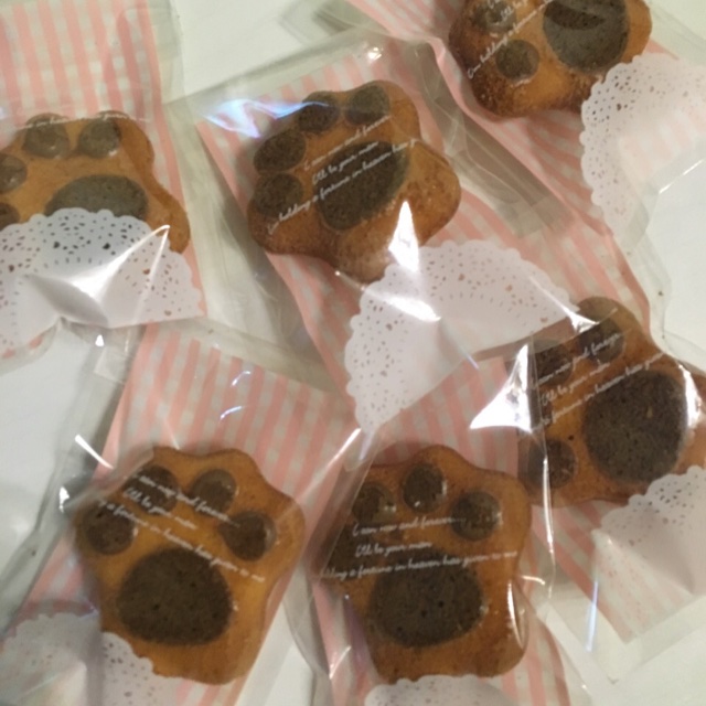 猫爪小蛋糕（玛德琳版）