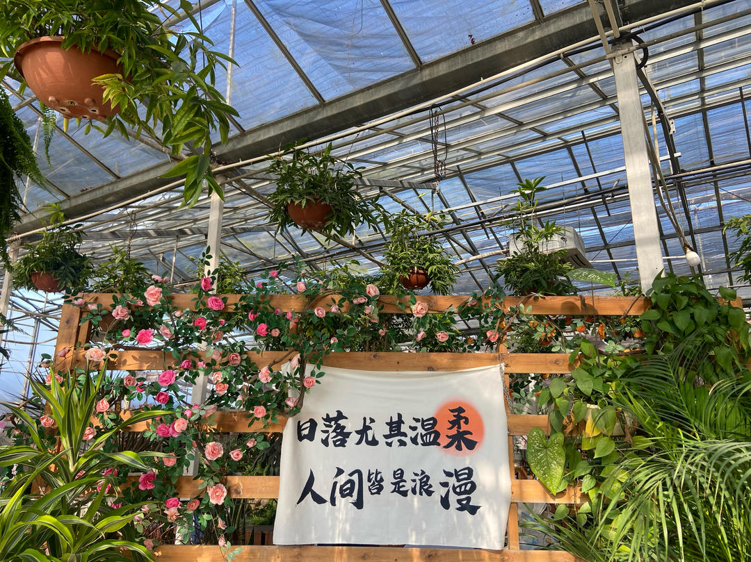 得闲夏厨