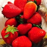 loveshujinliu