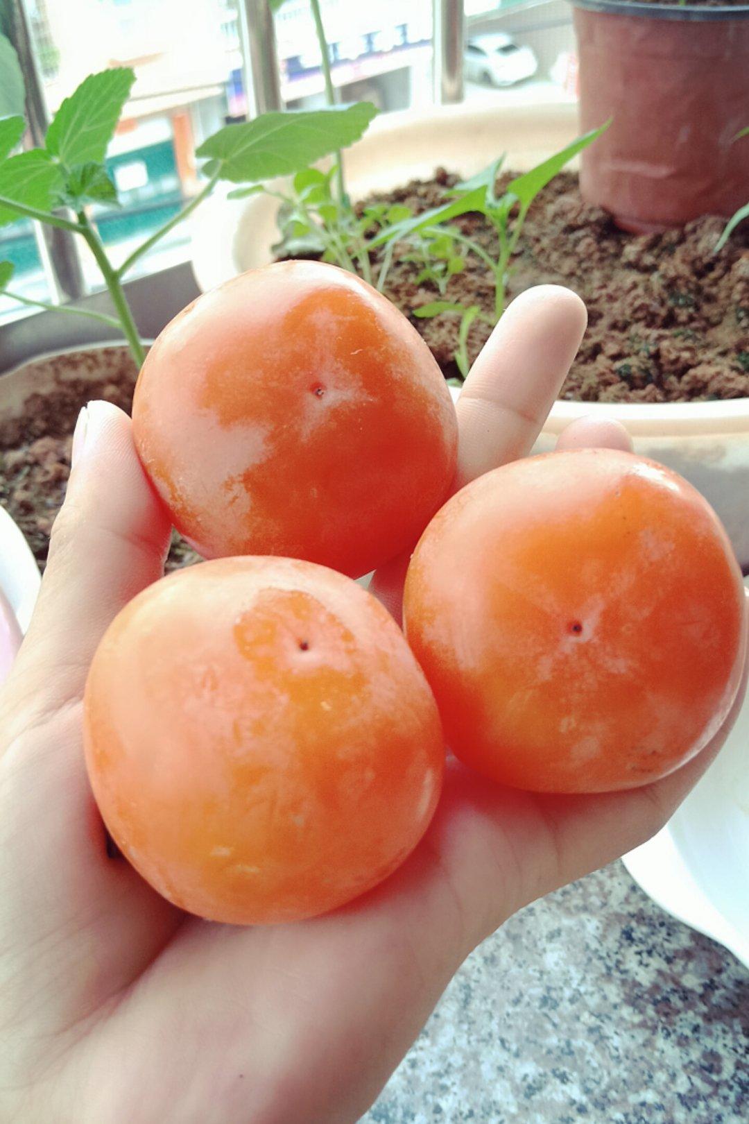 冻柿子冰淇淋