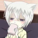 小猫scat