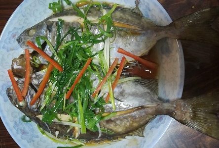 清蒸泥猛鱼