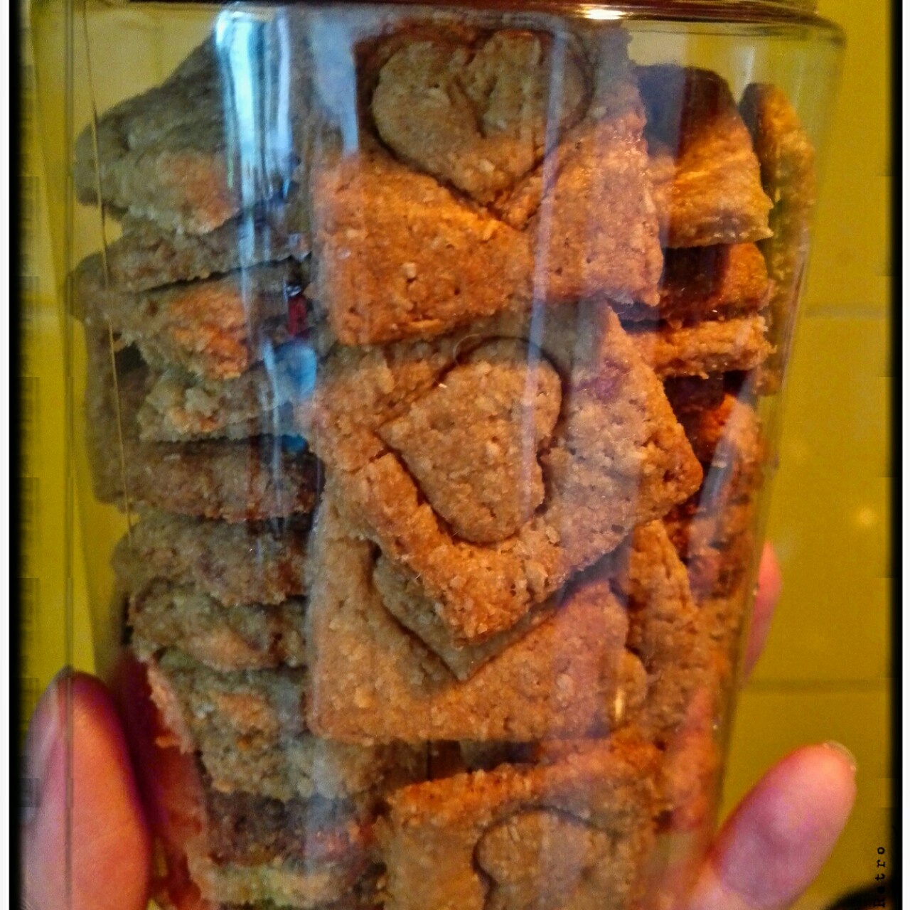 中岛老师的燕麦饼干