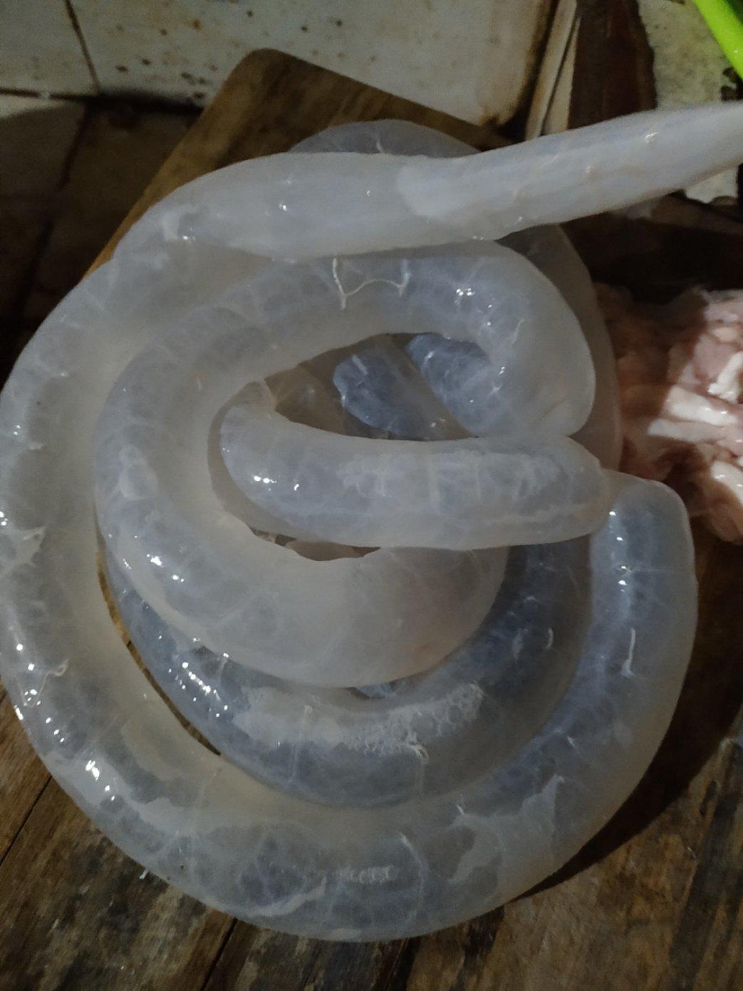 刮肠衣－最快速的方法