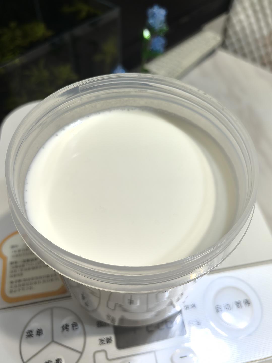 东菱面包机做酸奶