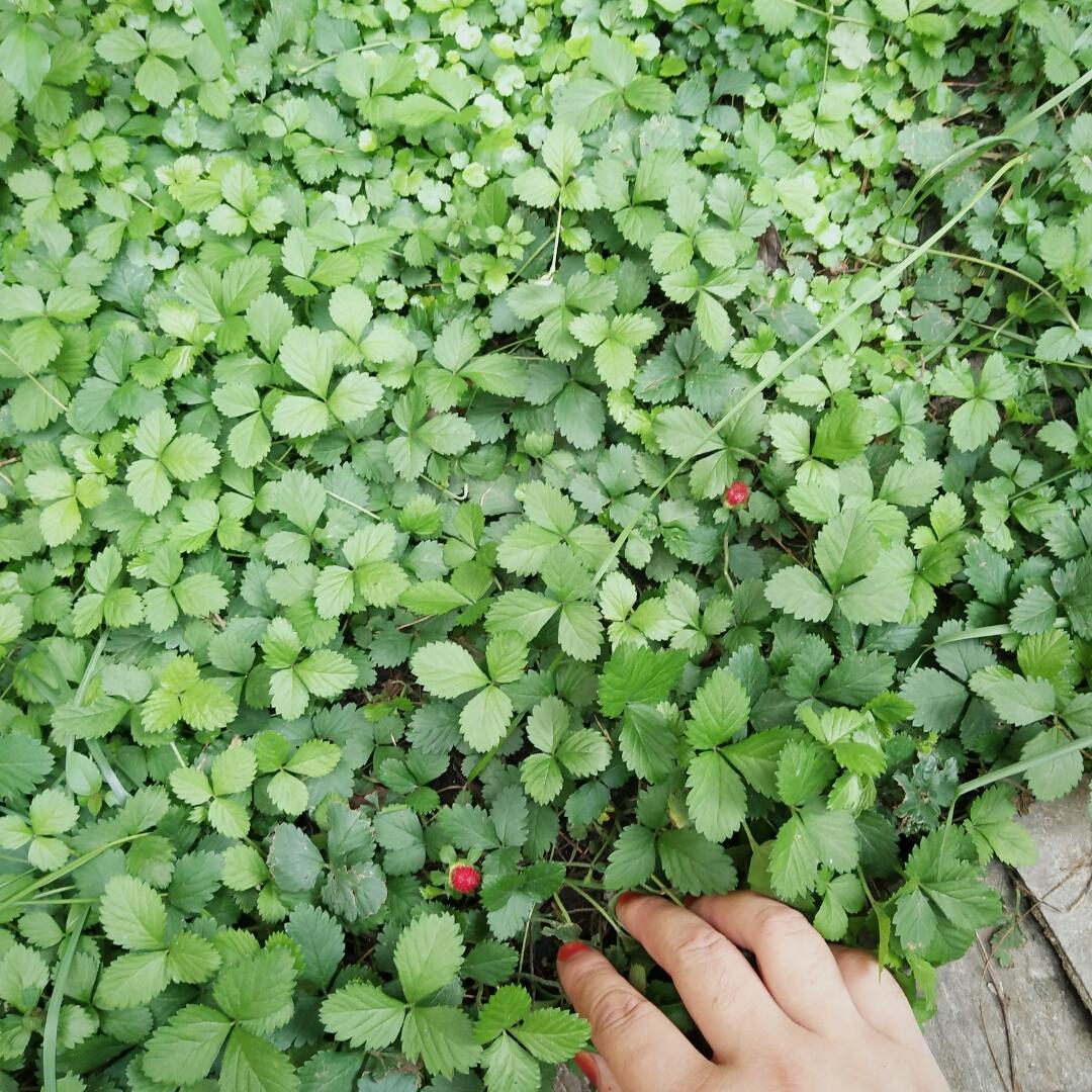 暖暖的光阴