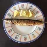 专属铲屎官