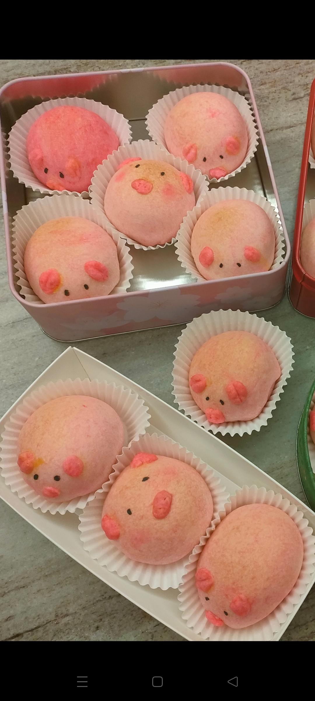 万用椰蓉蔓越莓馅（月饼馅🥮，面包馅）