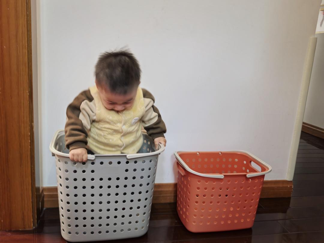 从蛋挞开始