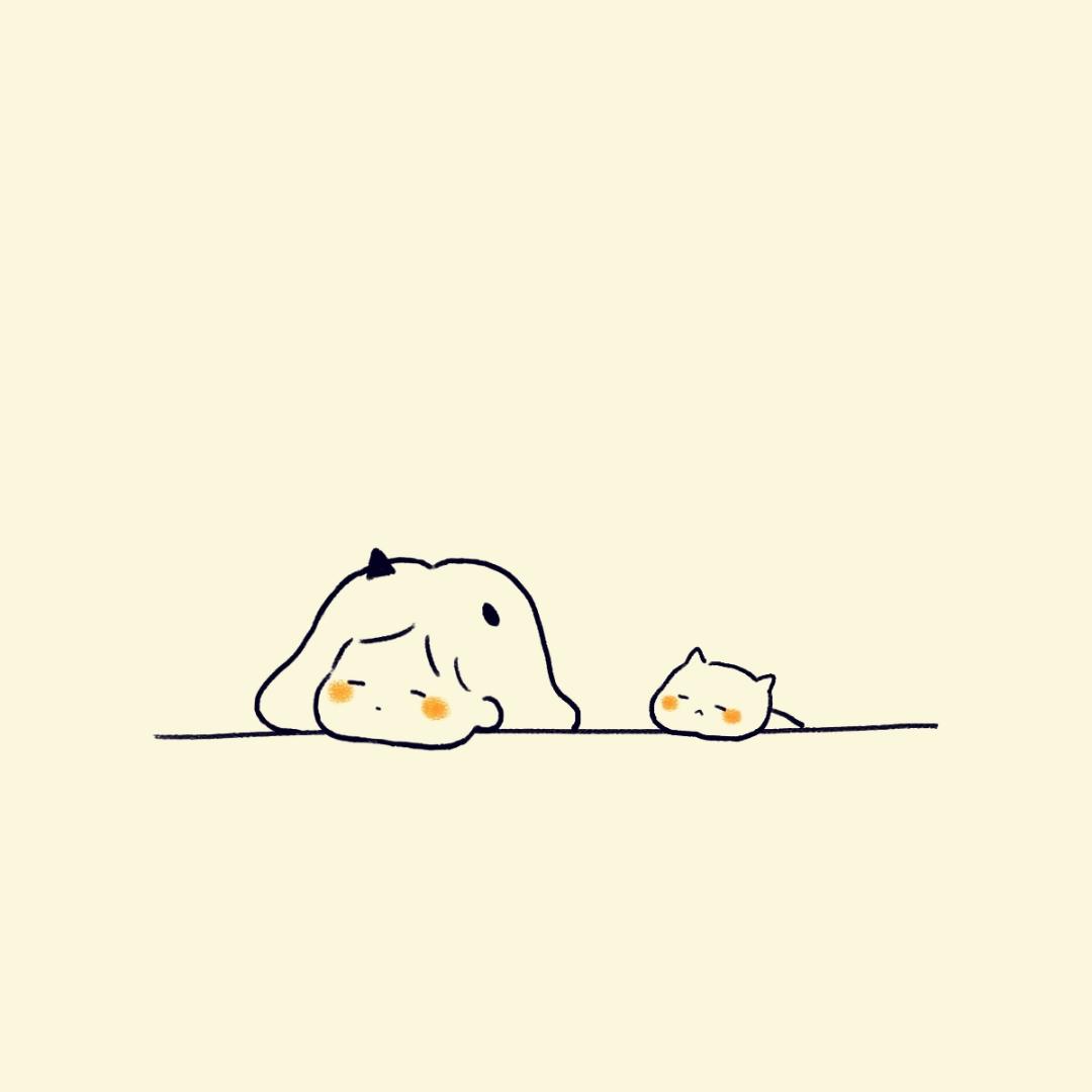 饭团的日常