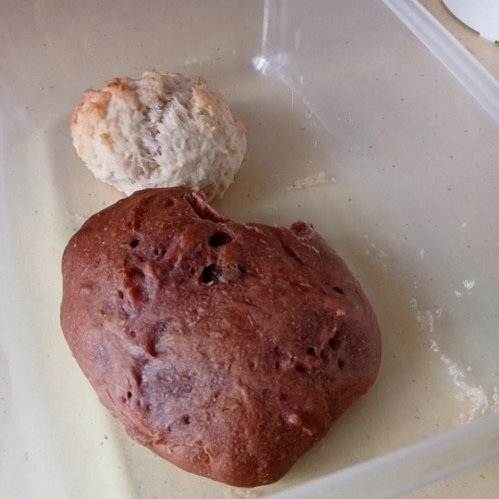 免揉红酒葡萄干面包卷（藤田千秋）