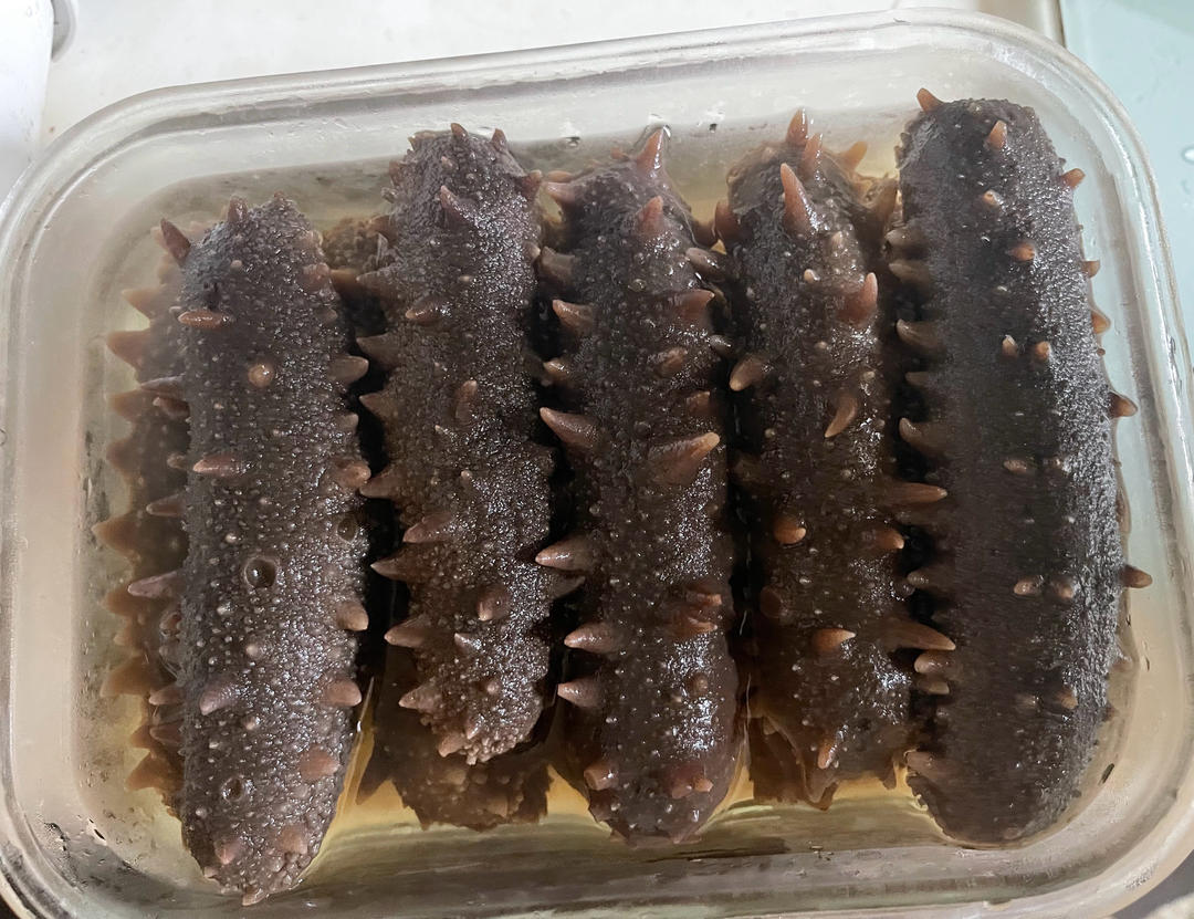 泡发海参