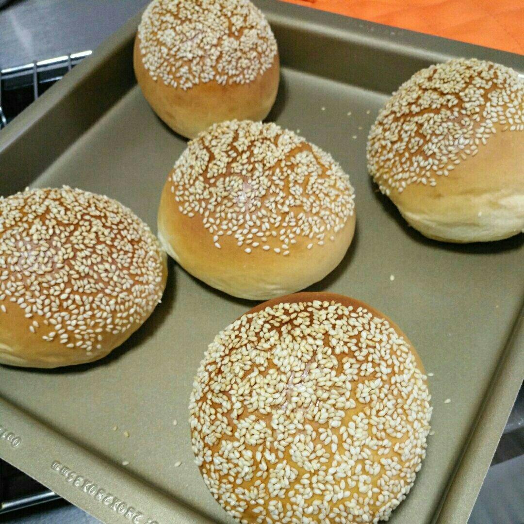 汉堡胚 poolish（波兰种）