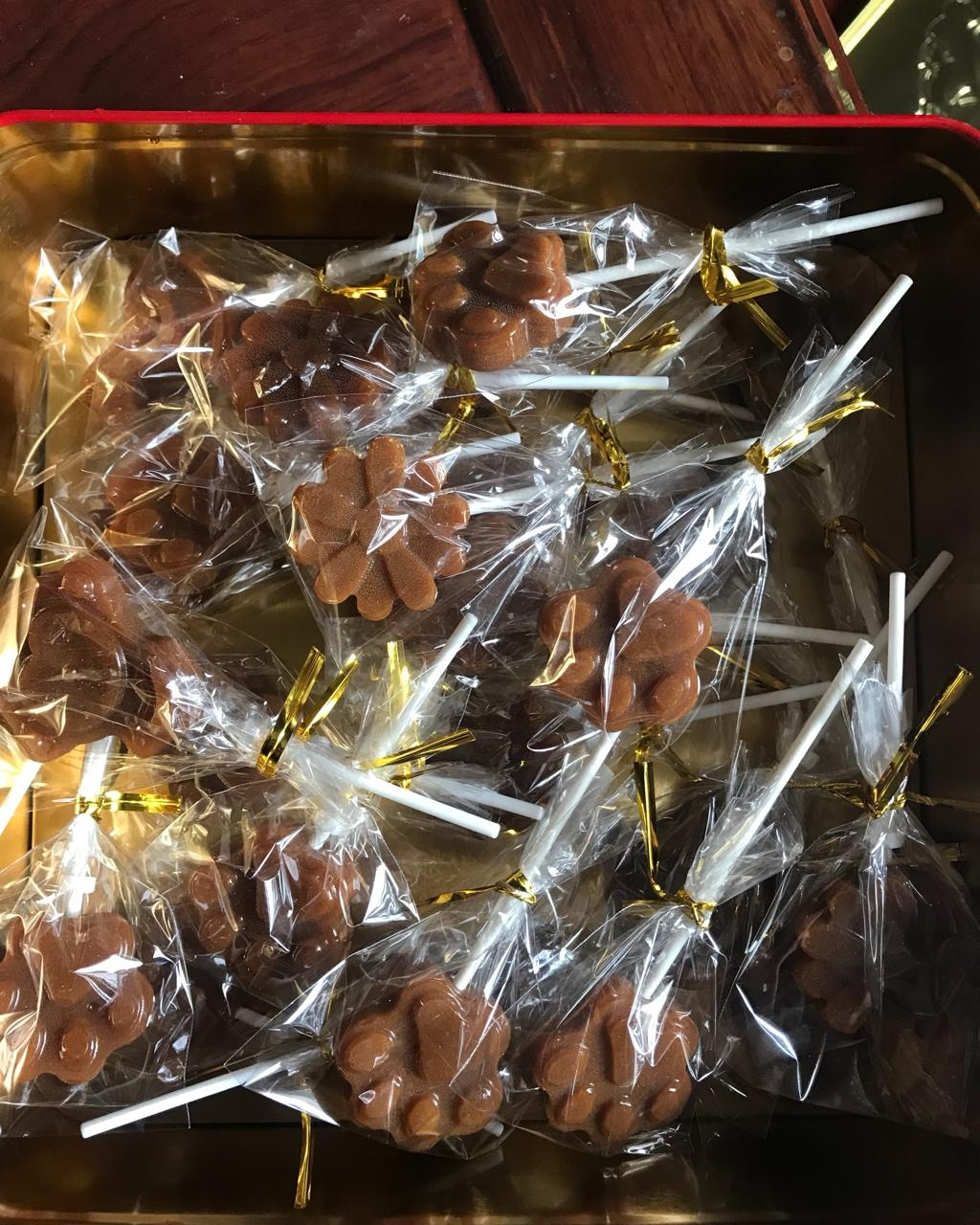 润肺止咳棒棒糖