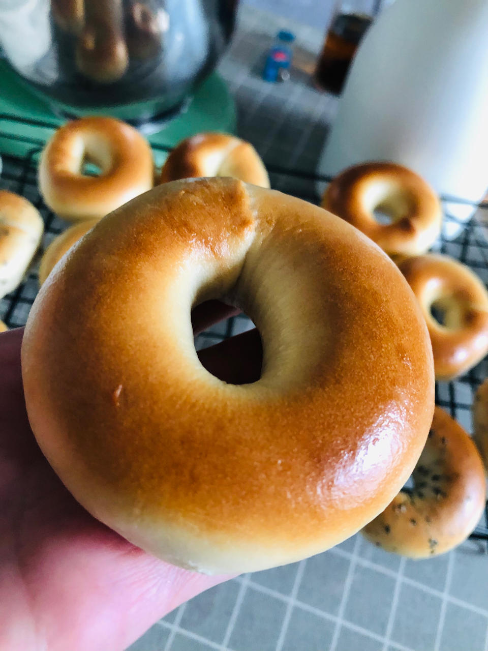原味贝果🥯/黑芝麻贝果🥯