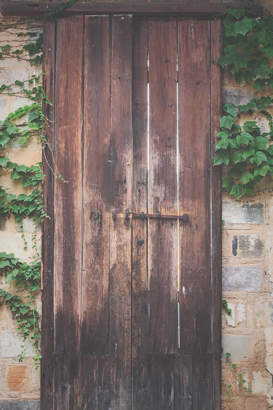 旅途中风景和美食的做法
