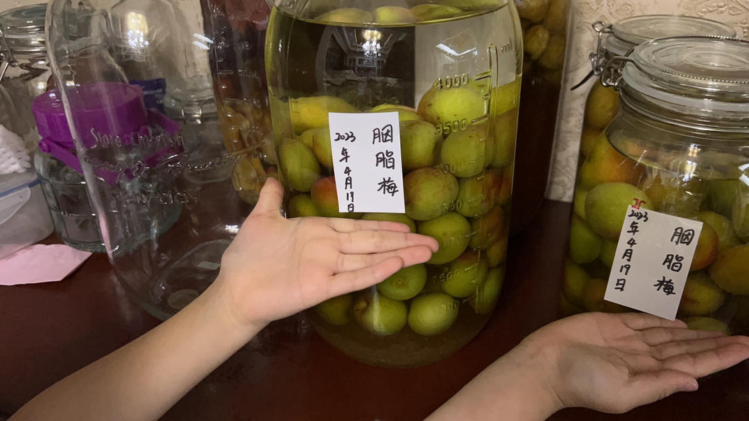 【青梅酒】梅子的沉醉时光（已填坑）