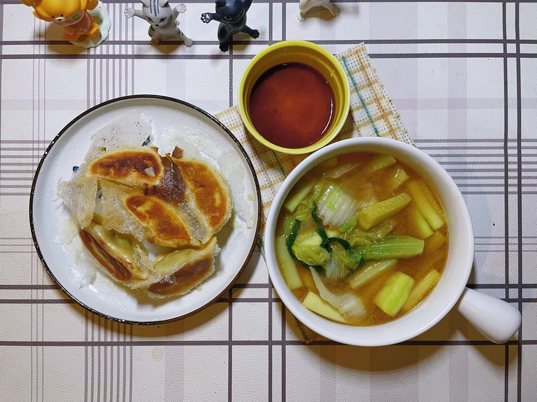 韭菜鸡肉大蒜饺子（煎饺和酸汤水饺）
