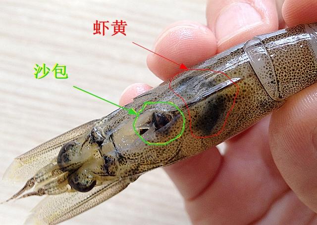 技术贴：高清大图教你分辨沙包虾线虾黄虾筋的做法