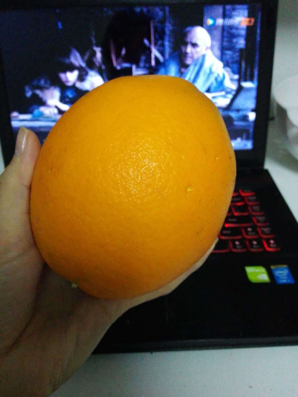 随风而去的日子