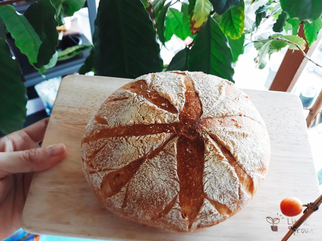 完全不用揉的面包，对，完全不用揉！ | Ciabatta