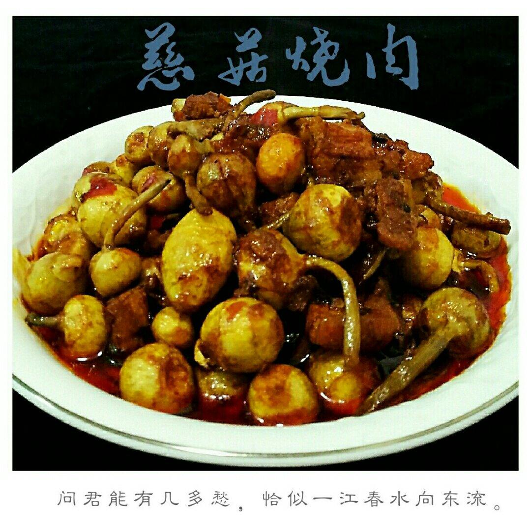 诗词相伴的岁月