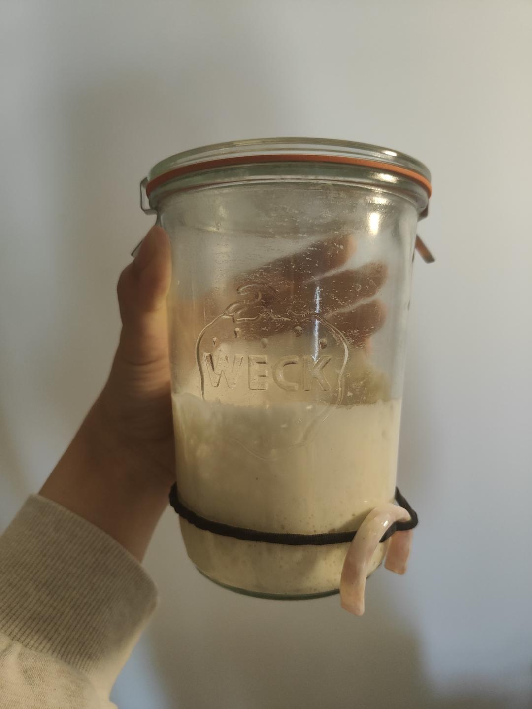 让面包变好吃的秘籍——波兰种