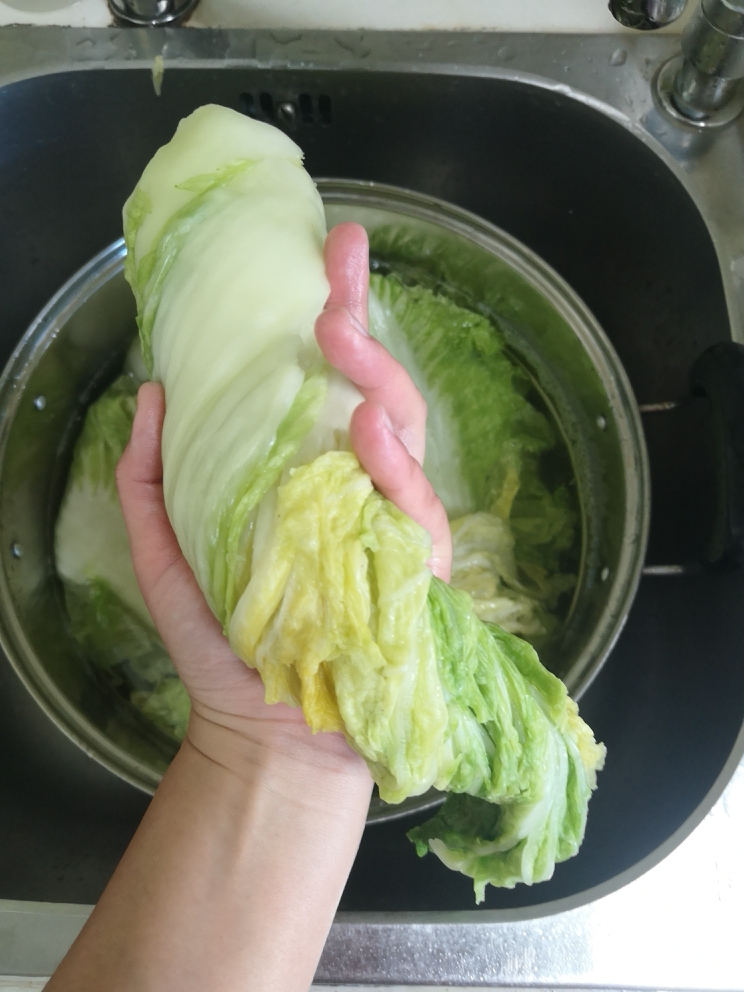 冬天里的一抹红-韩式辣白菜的做法 步骤6