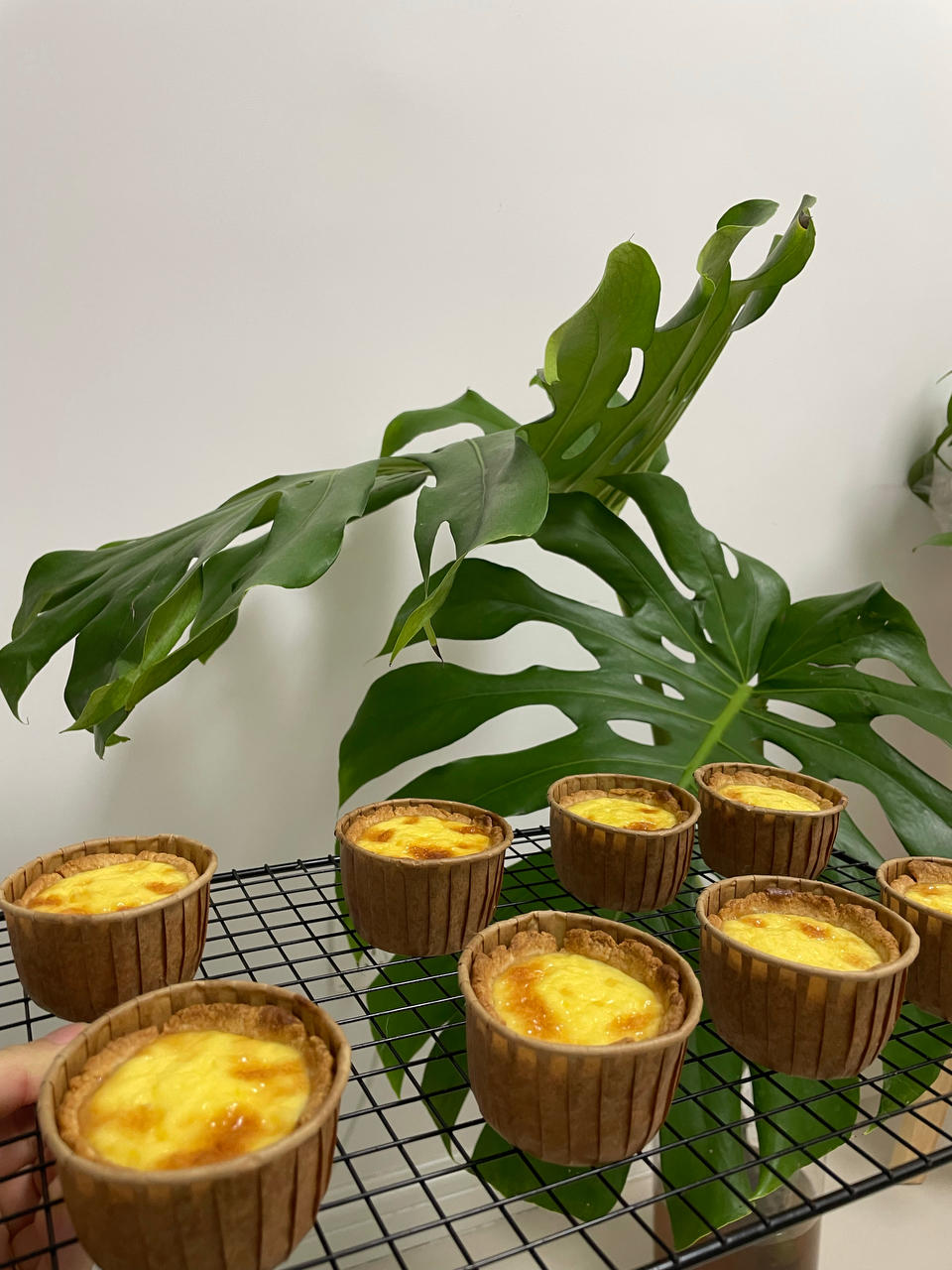 🌈外酥里嫩❗️吃一口就爱上的德式布丁塔