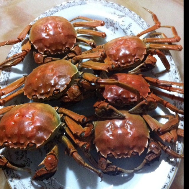 清蒸大闸蟹