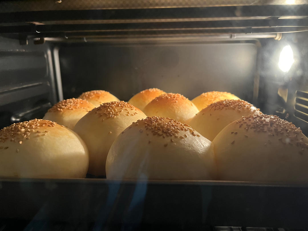 汉堡胚 poolish（波兰种）