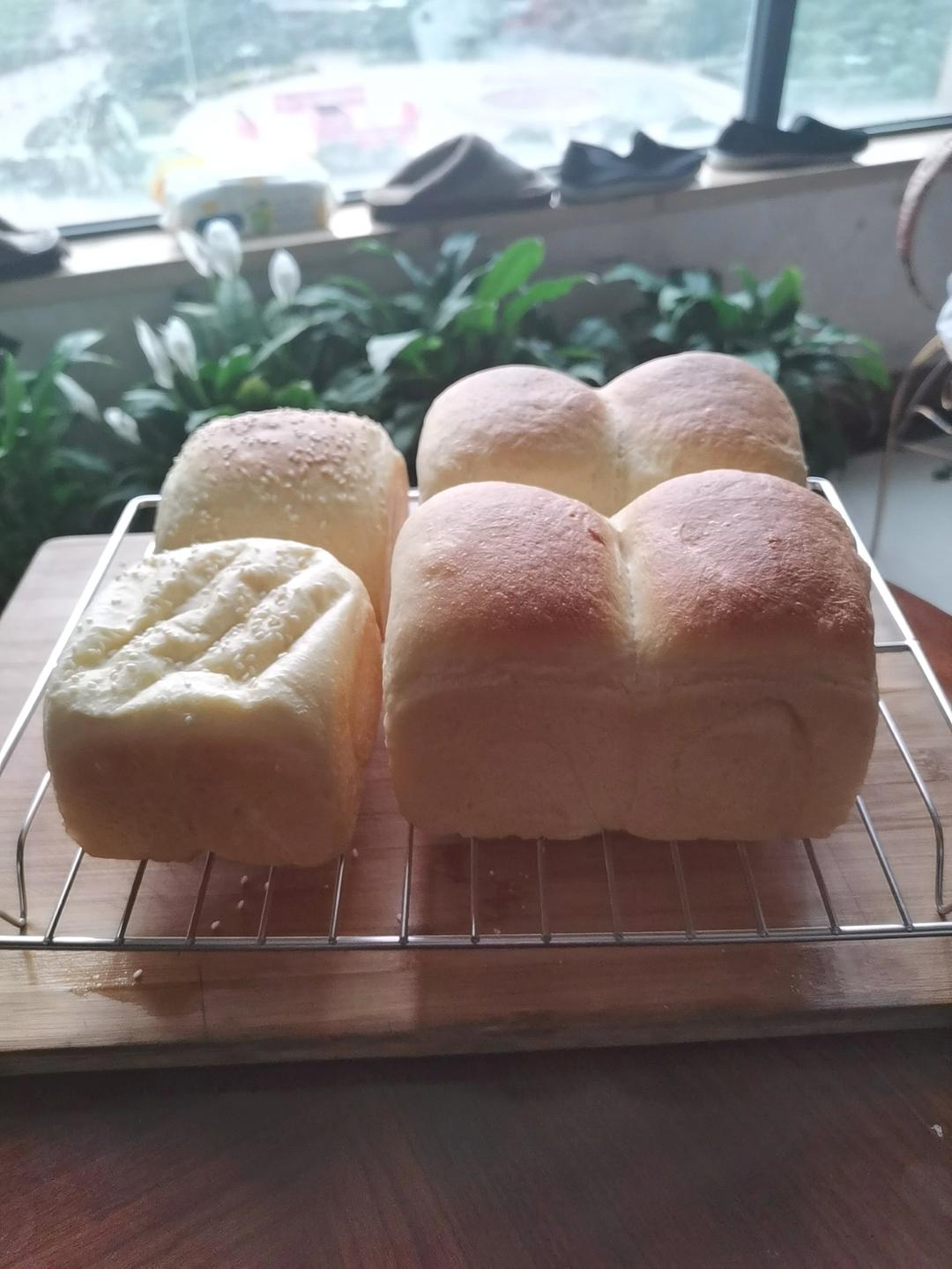 70%中种牛奶吐司