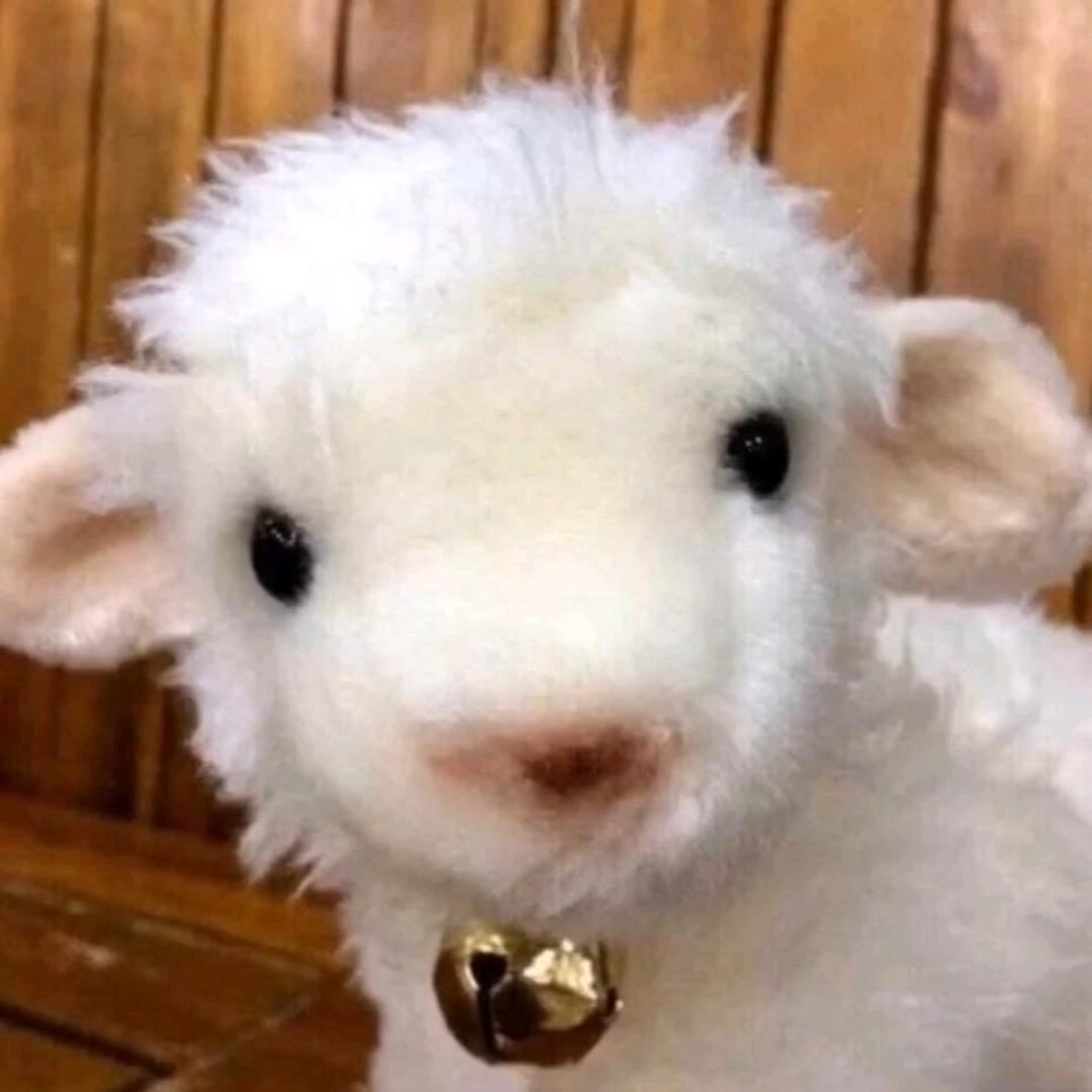 PannnnnnnnDa_MY7