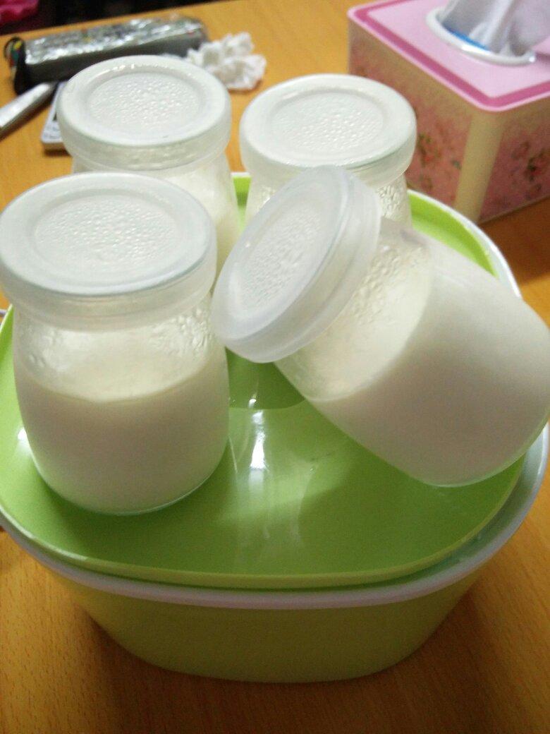 自制酸奶 德运奶粉酸奶