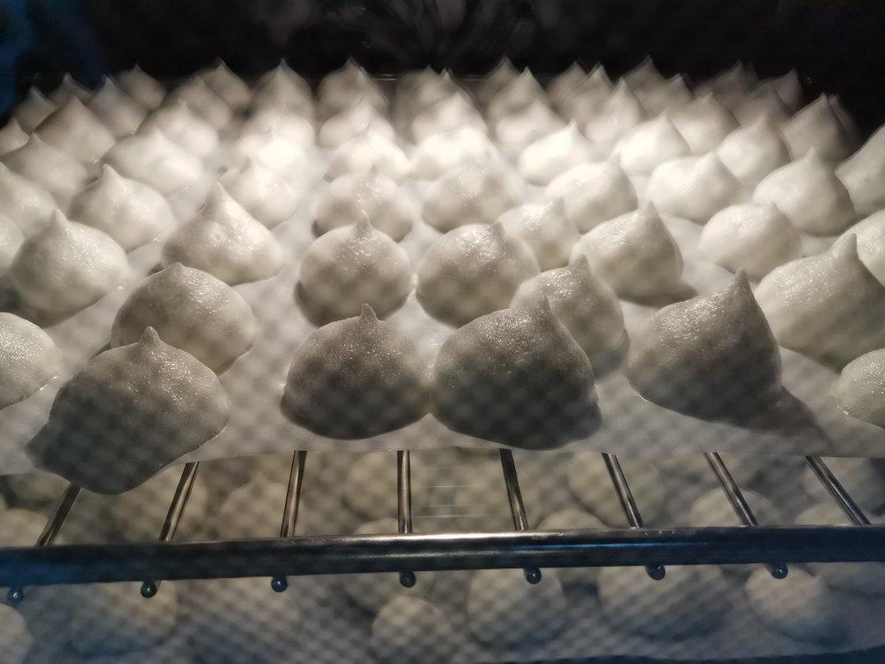 零脂肪无负担 - 蛋白酥皮饼干