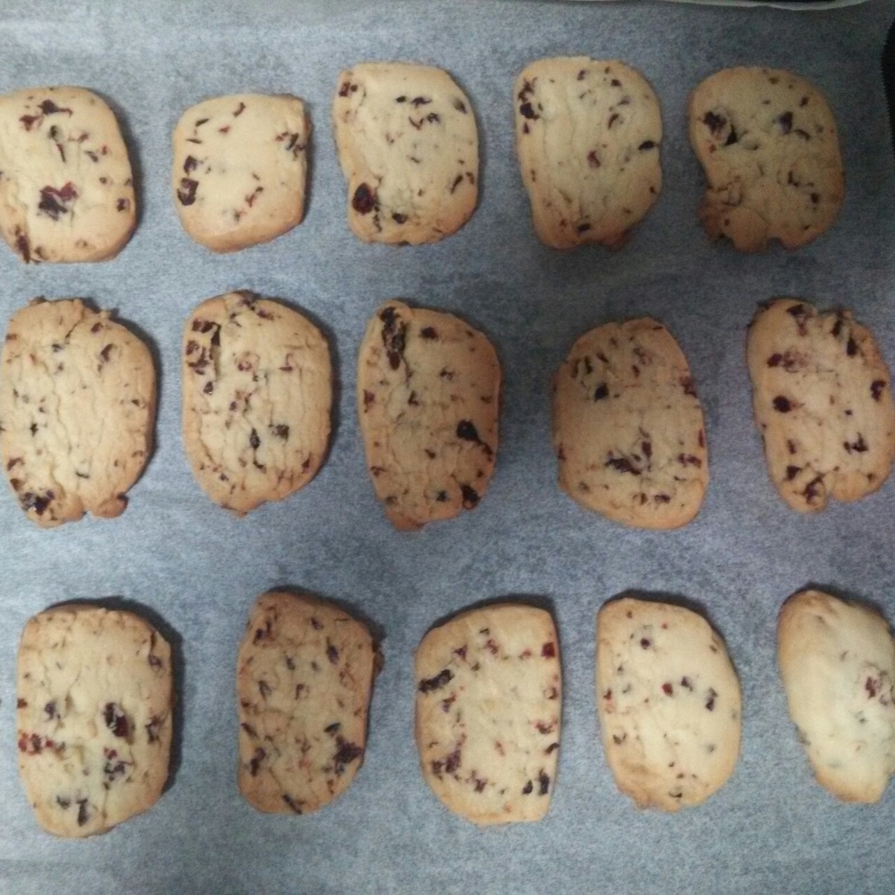 蔓越莓饼干 蔓越莓曲奇