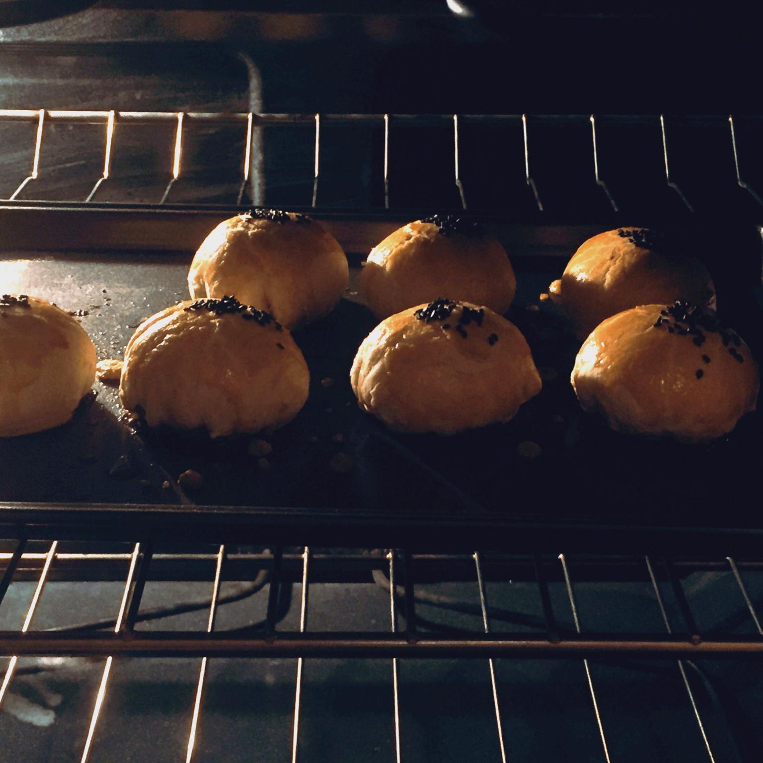 泳式鲜肉榨菜月饼