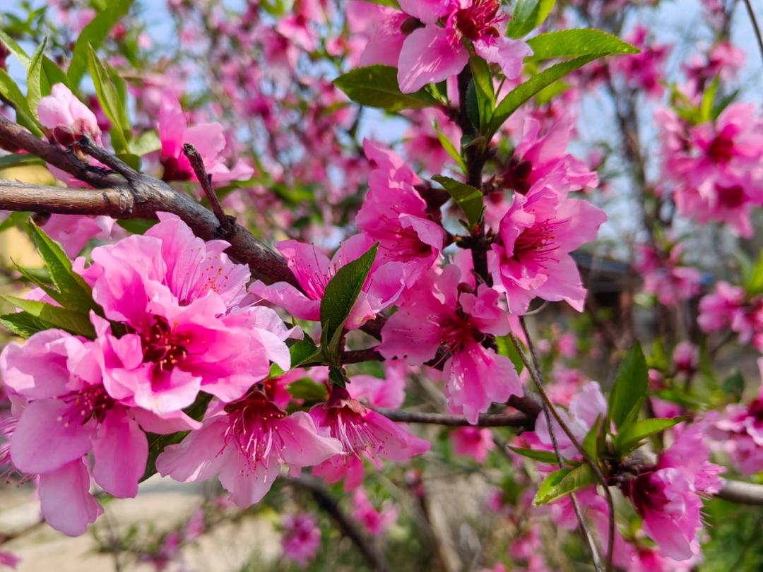 2026年的美食记录与分享