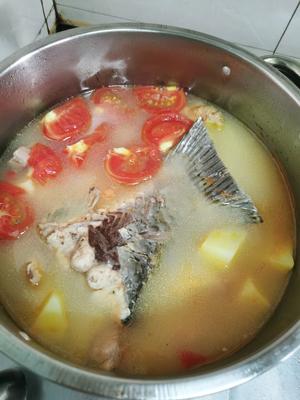 番茄🍅+土豆🥔+鱼尾汤的做法 步骤6