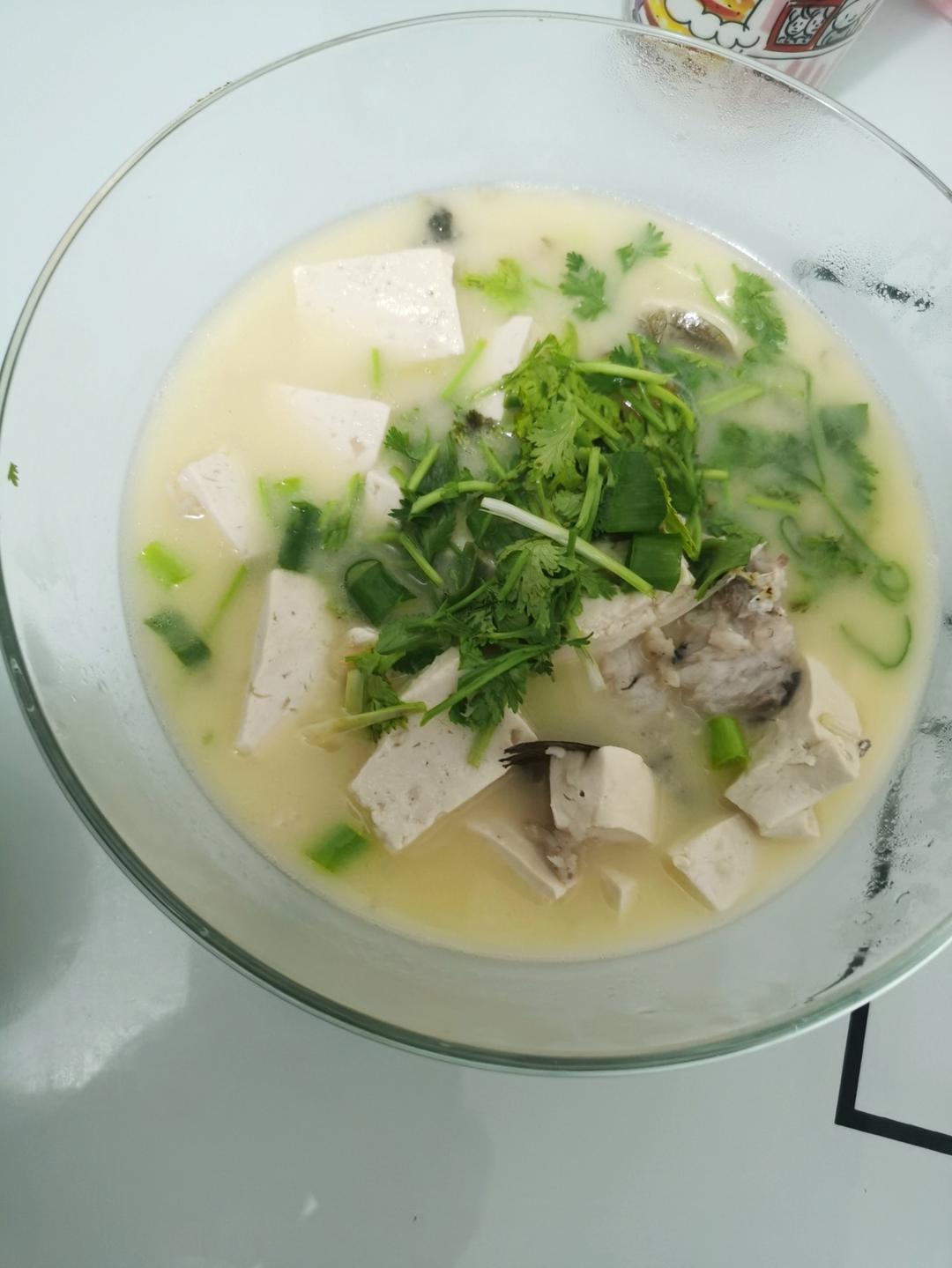 奶白鲫鱼豆腐汤|一条鱼最后的温柔