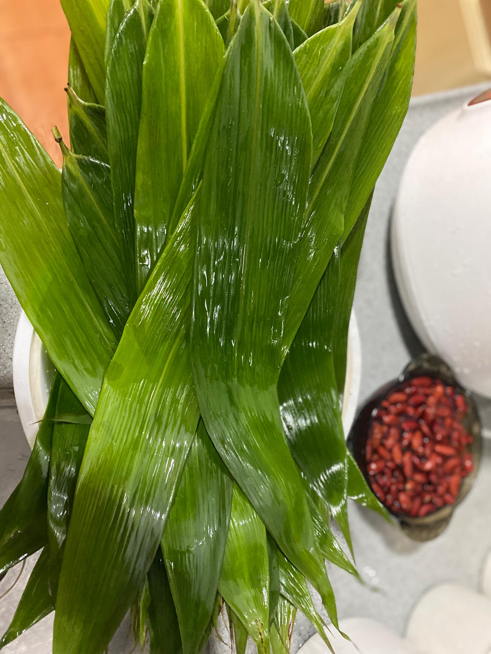 煮粽子叶