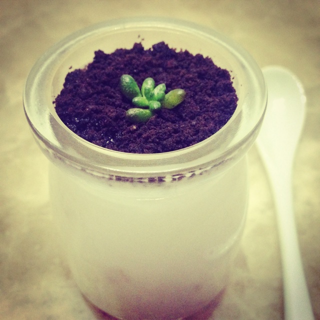 mojiexx做的盆栽酸奶