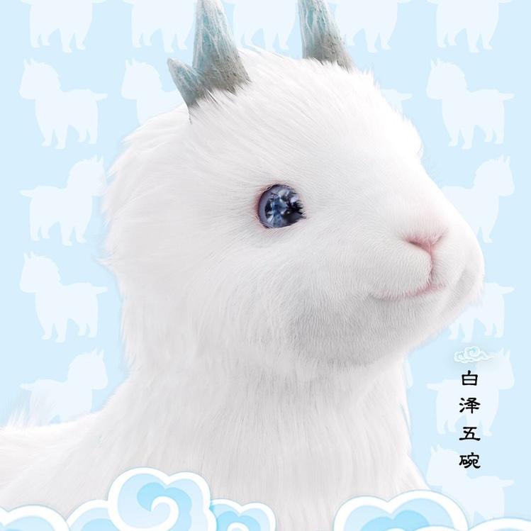 飞跑的肥肥猫的厨房