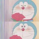 自由自在的清宝