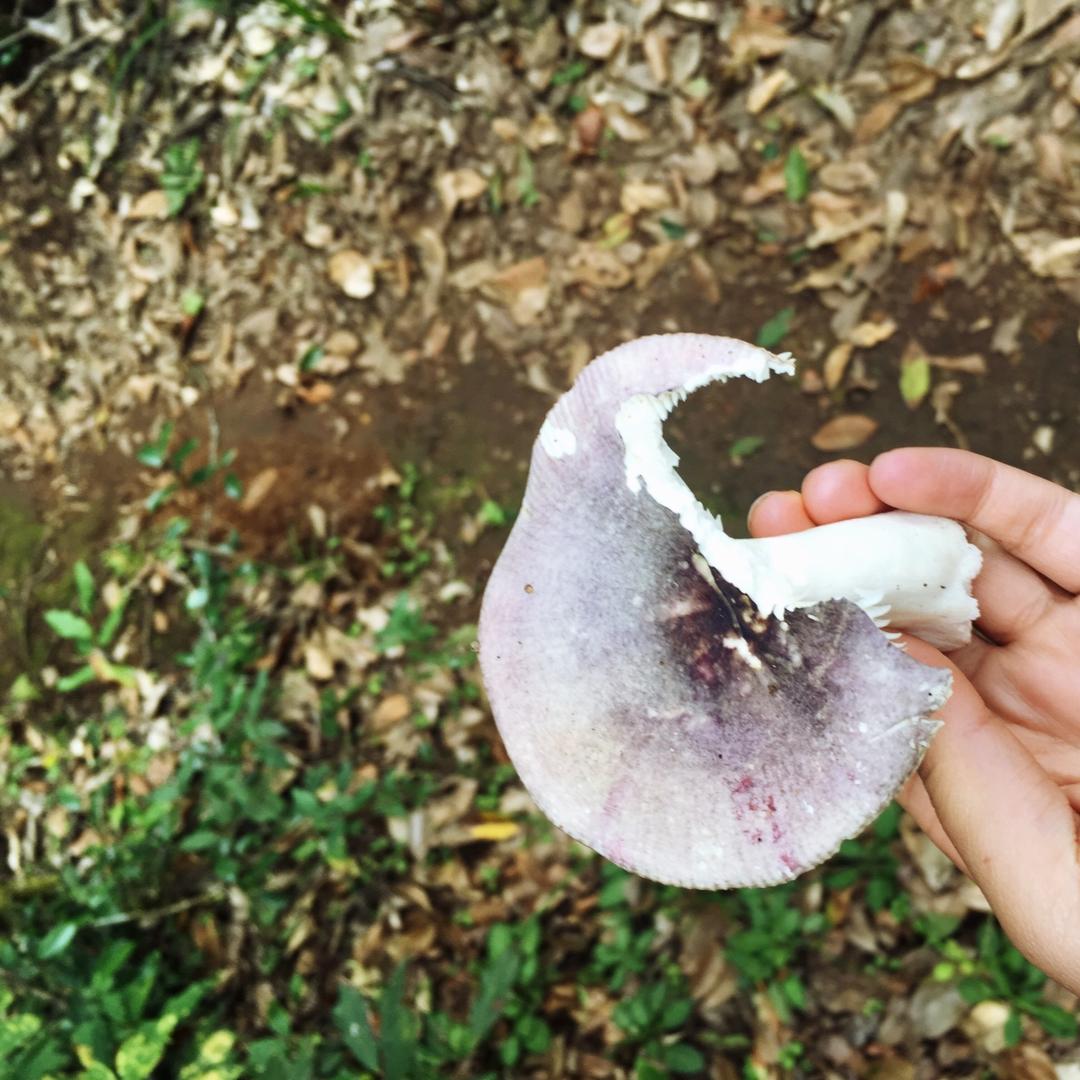 能吃是福宝宝