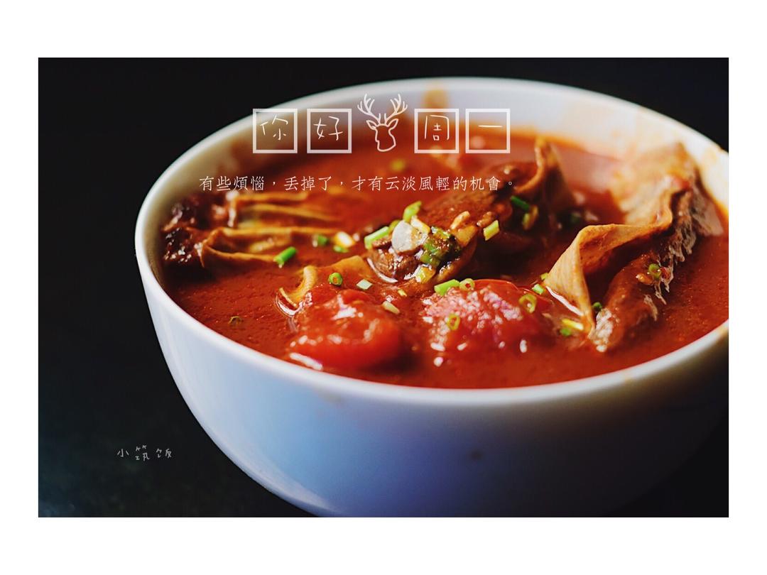 慢炖锅版红烩牛腩