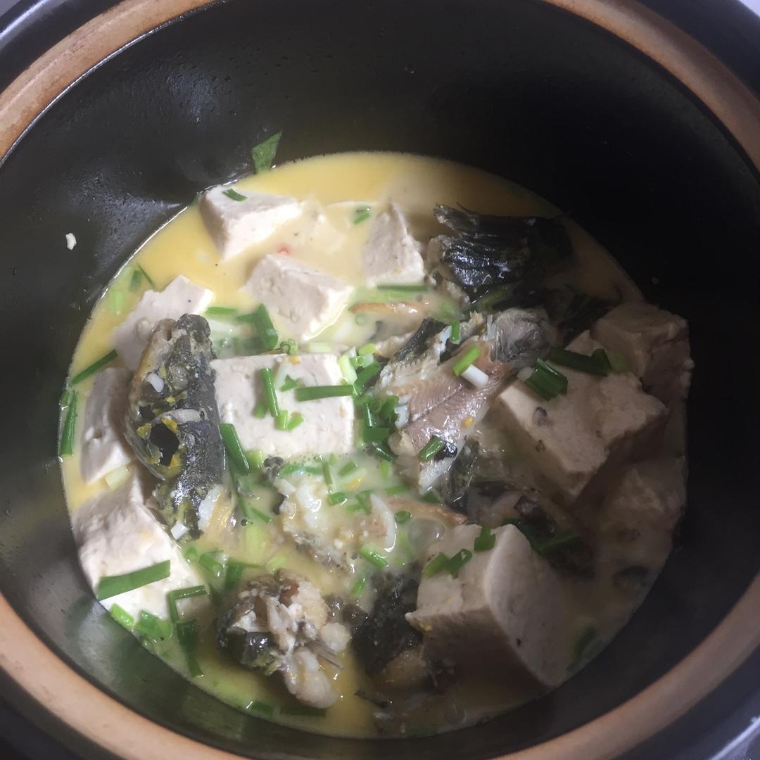黄刺鱼炖豆腐